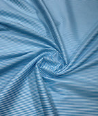 Burgoyne Old Money Stripe Shirt Fabric for Men's Shirt